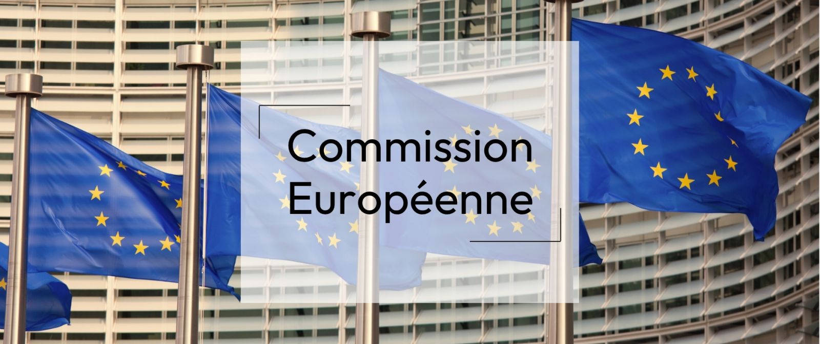 Commission Européenne x Numen - Prestations archivistiques et numérisation